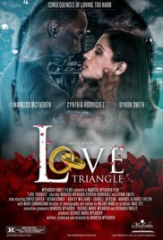 Love Triangle (2013) รักพลิกล็อค