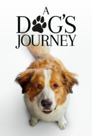 A Dogs Journey (2019) หมา เป้าหมาย และเด็กชายของผม[ซับไทย]