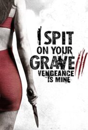 I Spit on Your Grave Vengeance is Mine (2015) เดนนรกต้องตาย 3
